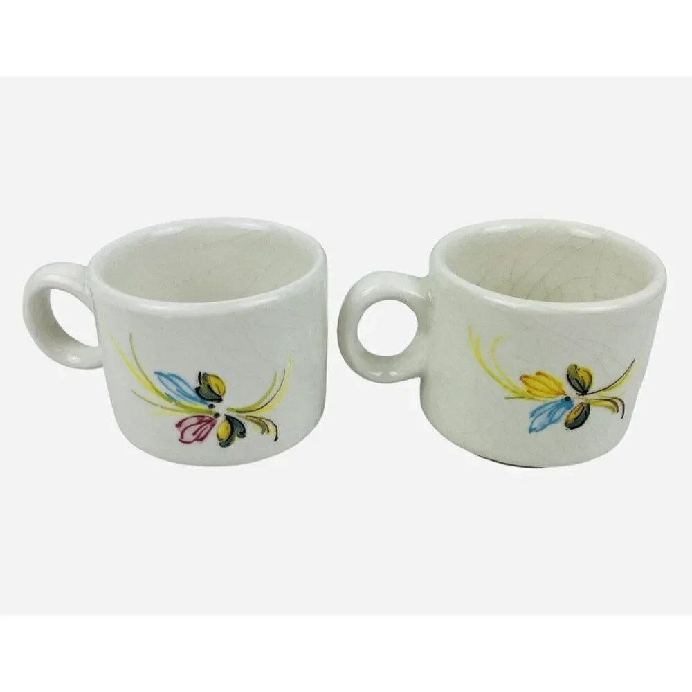 Vintage Castelli Ceramic Floral Espresso Set Italian Demitasse Hand Painted Demi